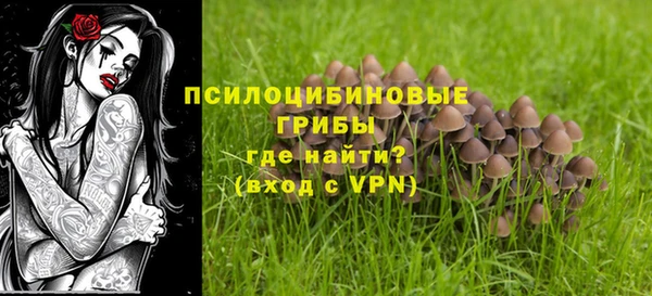 стаф Алексеевка