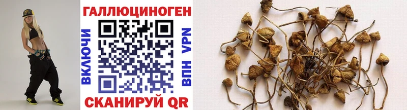 Галлюциногенные грибы Cubensis  Инсар 